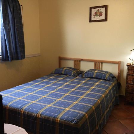 Guest House Ribatejo Салвате́рра-де-Ма́гуш Екстер'єр фото