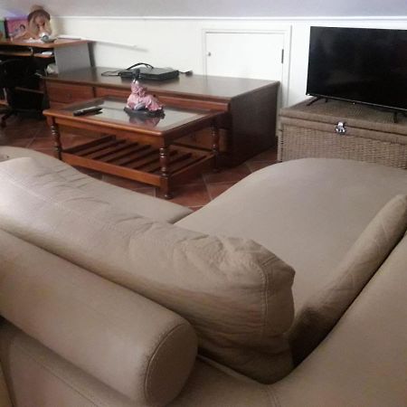 Guest House Ribatejo Салвате́рра-де-Ма́гуш Екстер'єр фото