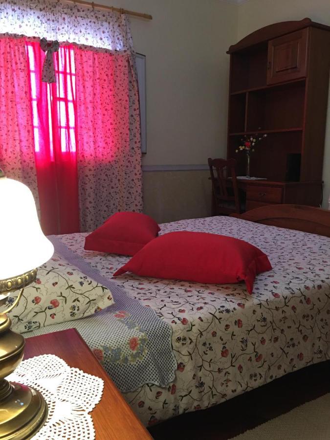 Guest House Ribatejo Салвате́рра-де-Ма́гуш Екстер'єр фото