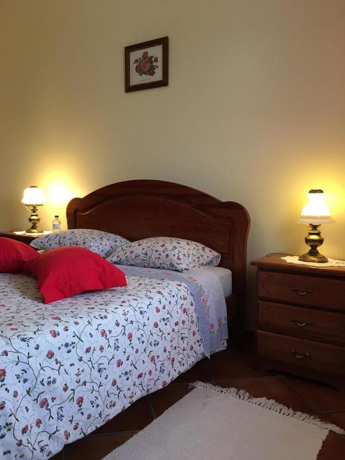 Guest House Ribatejo Салвате́рра-де-Ма́гуш Екстер'єр фото