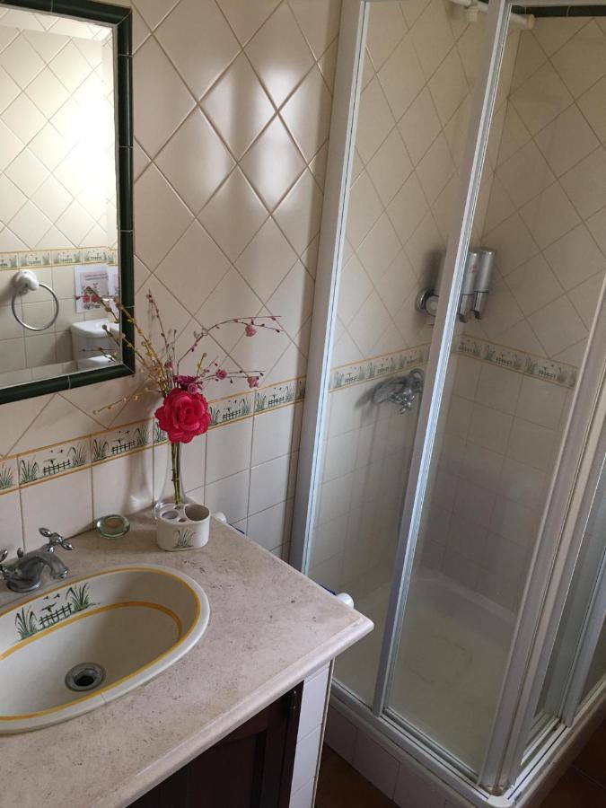 Guest House Ribatejo Салвате́рра-де-Ма́гуш Екстер'єр фото