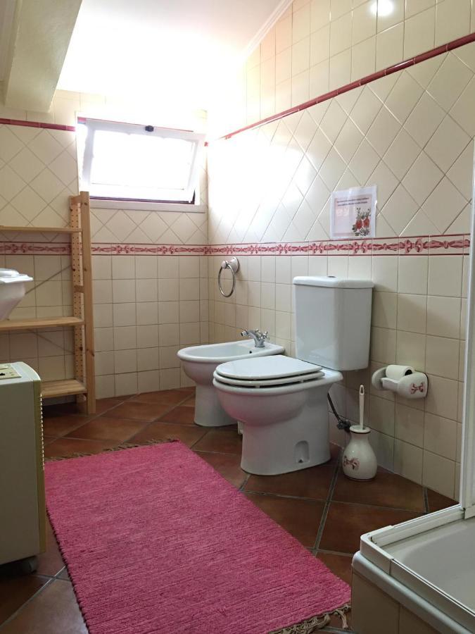 Guest House Ribatejo Салвате́рра-де-Ма́гуш Екстер'єр фото