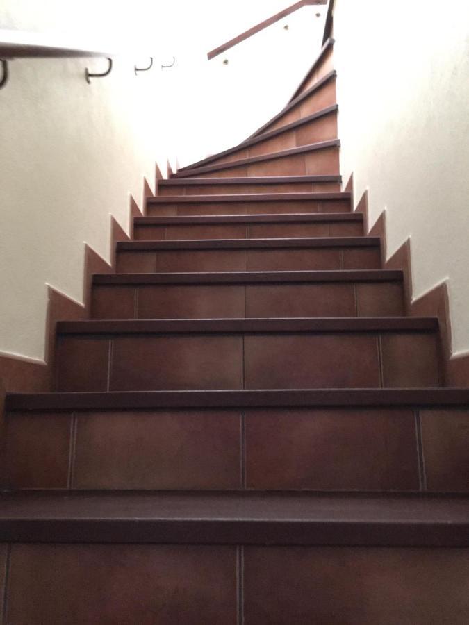 Guest House Ribatejo Салвате́рра-де-Ма́гуш Екстер'єр фото