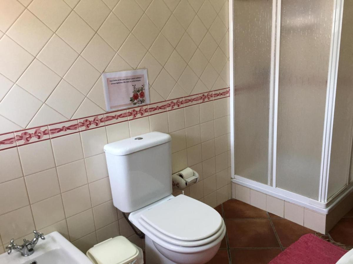 Guest House Ribatejo Салвате́рра-де-Ма́гуш Екстер'єр фото