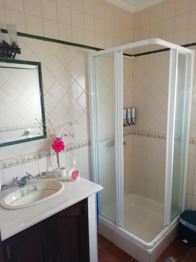 Guest House Ribatejo Салвате́рра-де-Ма́гуш Екстер'єр фото