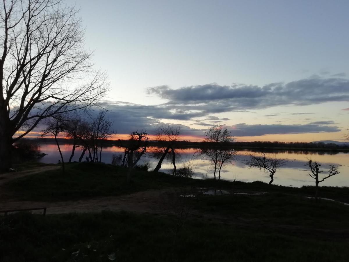 Guest House Ribatejo Салвате́рра-де-Ма́гуш Екстер'єр фото
