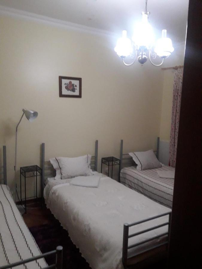 Guest House Ribatejo Салвате́рра-де-Ма́гуш Екстер'єр фото