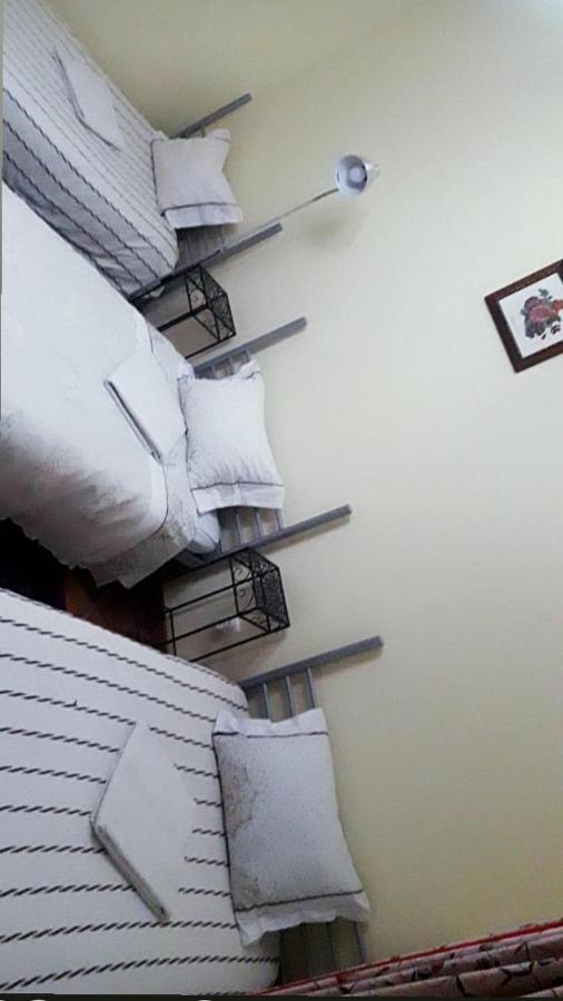 Guest House Ribatejo Салвате́рра-де-Ма́гуш Екстер'єр фото