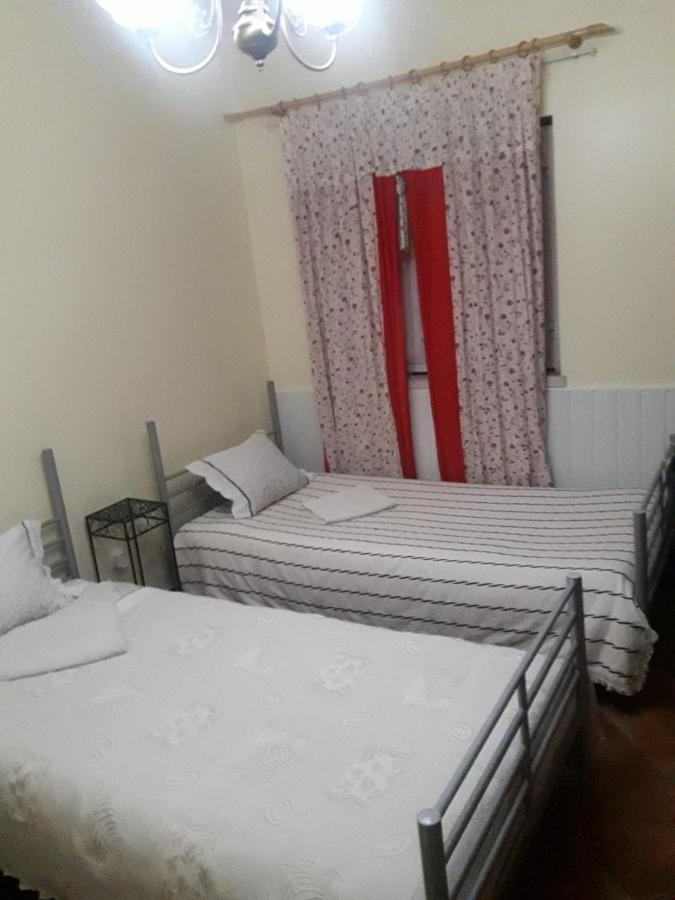 Guest House Ribatejo Салвате́рра-де-Ма́гуш Екстер'єр фото