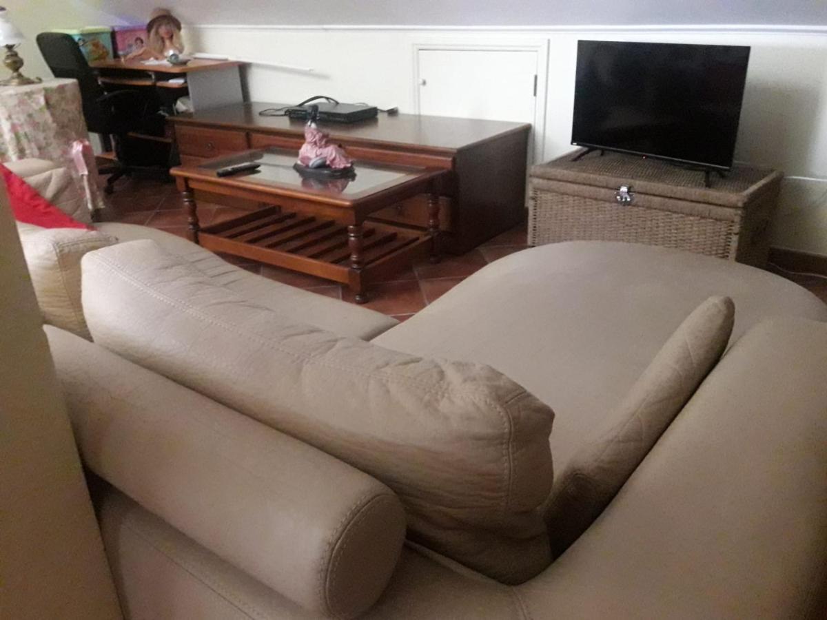 Guest House Ribatejo Салвате́рра-де-Ма́гуш Екстер'єр фото